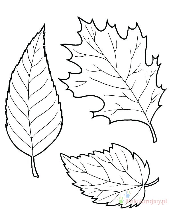 Liść jesienny kolorowanki